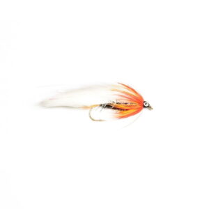 Black Ghost Sunburst (Zonker)
