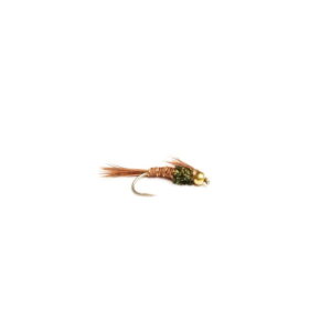Pheasant Tail