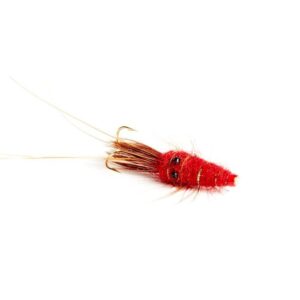 Black Eyed Prawn - Red