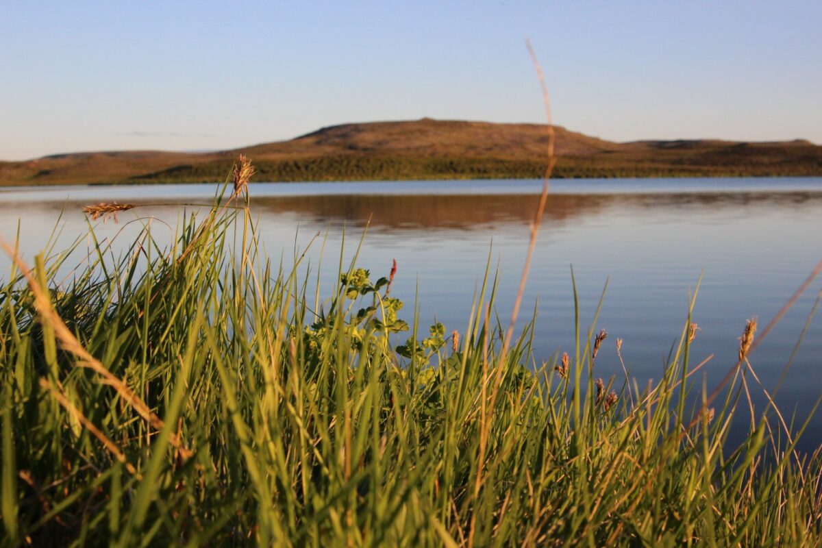 Þurrflugur fyrir silung lax og urriða í miklu úrvali