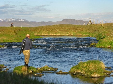Minnivallalækur - vorveiði - staðbundinn urriði