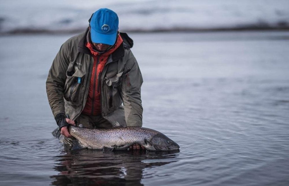 Tungulækur vorveiði - sjóbirtingur