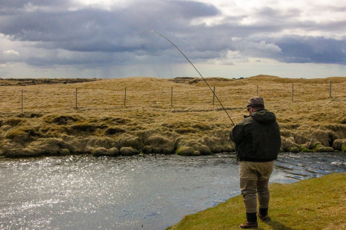 Barist við fisk í Minnivallalæk að vori
