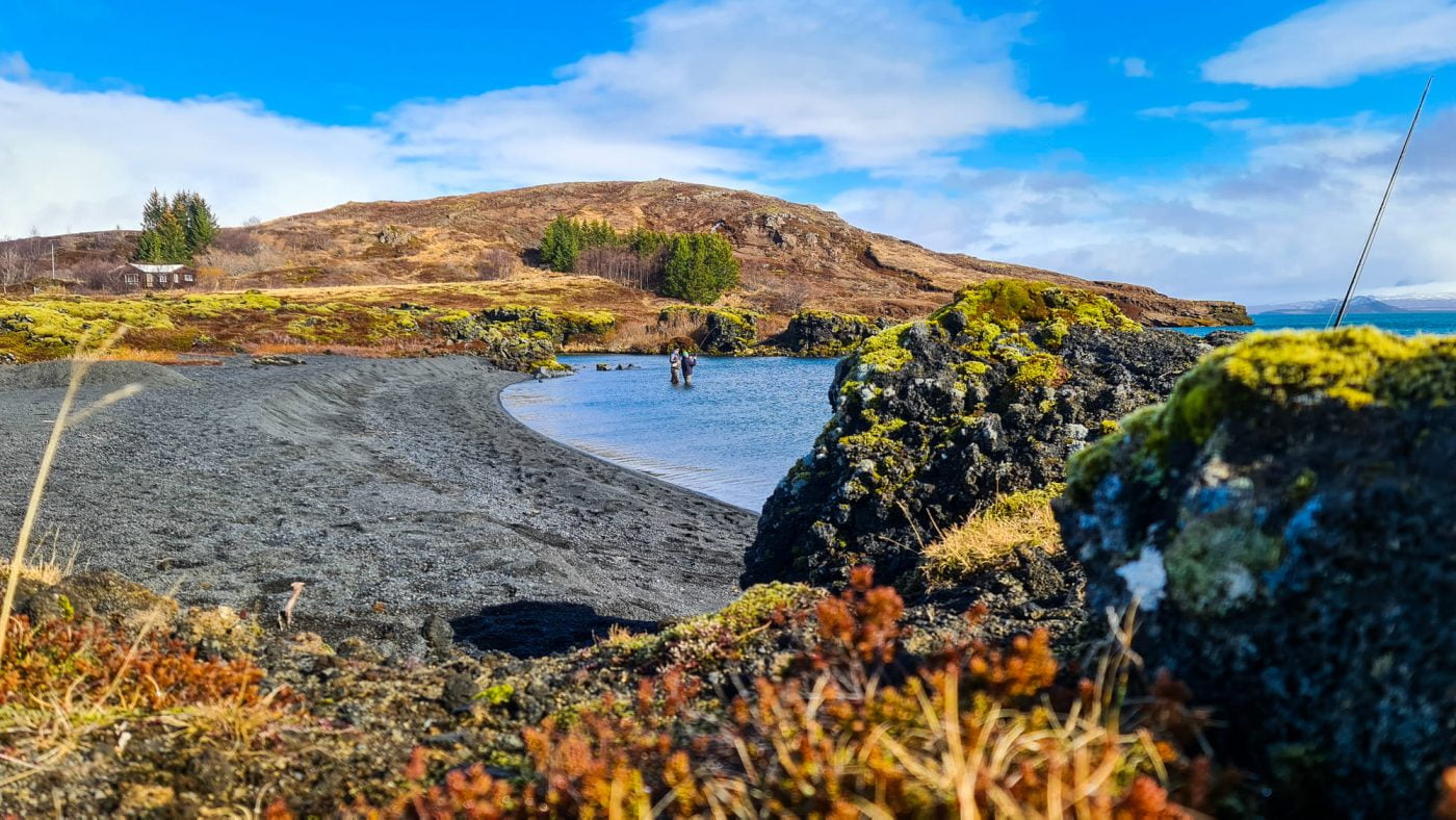 Fluguveiðistnagir flokkar