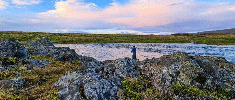 Scott Centric flugustangir fáanlegar í Veiðiflugum