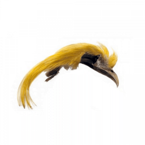 Golden Pheasant Topping Crest - Gullfasani
