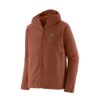 Patagonia R1 TechFace Fitz Roy Trout Hettupeysa - Sisu Brown