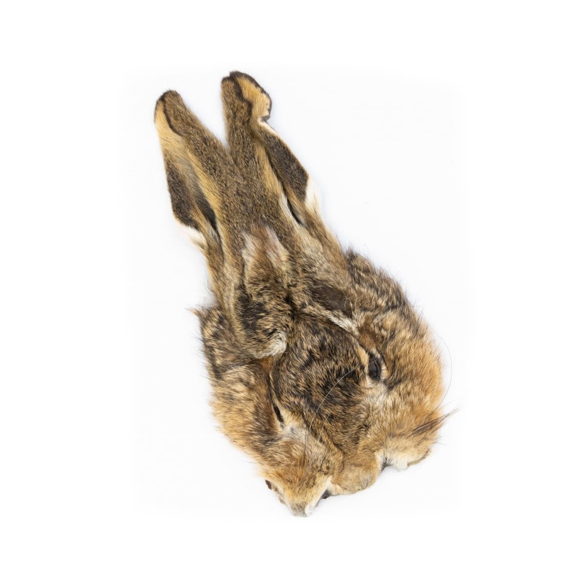Veniard Hare Mask