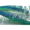 Veniard Peacock Sword Tails