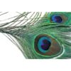 Veniard Peacock Eye Top Natural