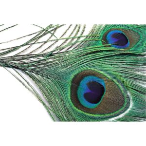 Veniard Peacock Eye Top Natural
