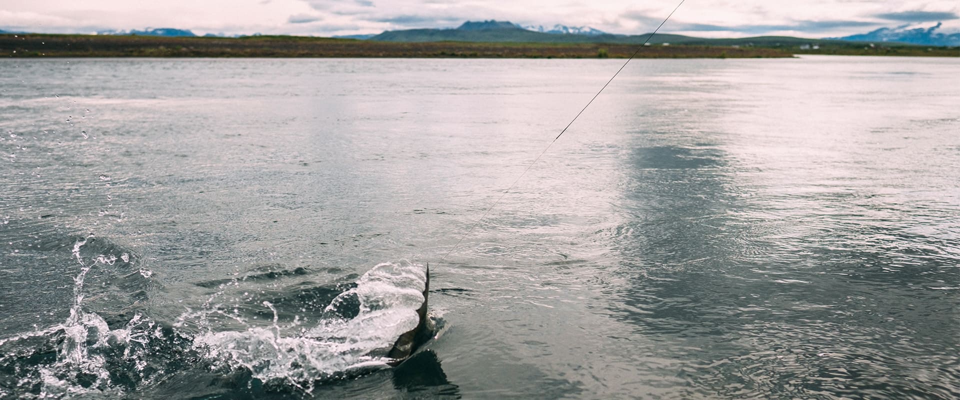 Sökkendar í fluguveiði